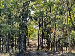 720 Vest Lane - Photo 4