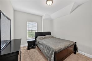 7213 Willow Thorne Drive - Photo 22
