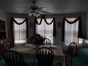 431 Fitzhugh Avenue - Photo 8