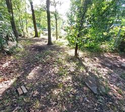 1805 Cherokee Trace - Photo 19
