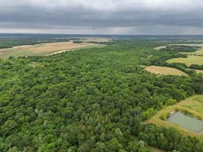 Tract 9 County Road 2158 - Photo 1