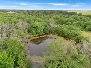 Tract 9 County Road 2158 - Photo 10