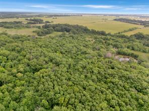 Tract 9 County Road 2158 - Photo 11
