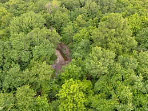 Tract 9 County Road 2158 - Photo 12