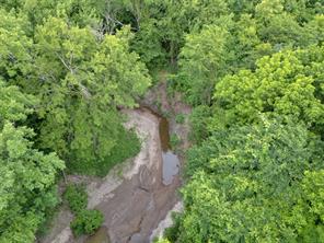 Tract 9 County Road 2158 - Photo 13