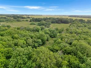 Tract 9 County Road 2158 - Photo 14