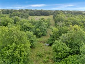 Tract 9 County Road 2158 - Photo 15