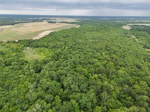 Tract 9 County Road 2158 - Photo 2