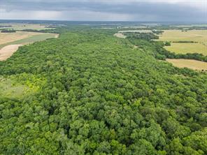 Tract 9 County Road 2158 - Photo 3