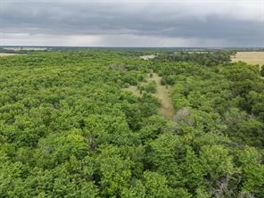 Tract 9 County Road 2158 - Photo 4