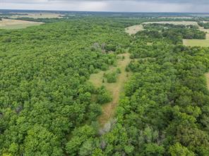 Tract 9 County Road 2158 - Photo 5