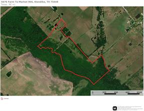 Tract 9 County Road 2158 - Photo 6