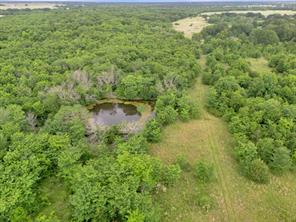 Tract 9 County Road 2158 - Photo 7