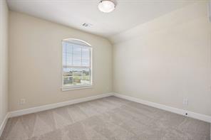 3726 Blooming Prairie Drive - Photo 21