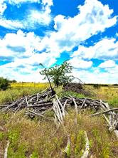 TBD Tract 76 Adobe Hill Drive - Photo 1