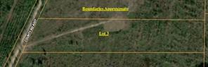 Lot 3 County Road 4507 - Photo 1