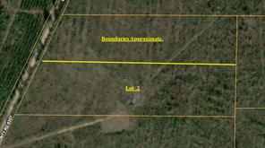 Lot 2 County Road 4507 - Photo 1