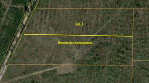 Lot 1 County Road 4507 - Photo 1