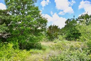 16967 CR 290 - Photo 38