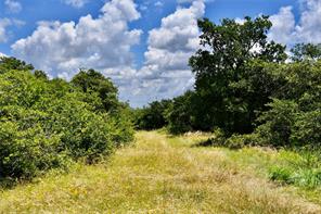 16967 CR 290 - Photo 39