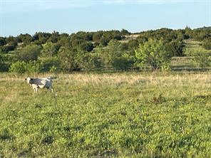 200 PR 16028 Road - Photo 11