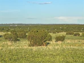 200 PR 16028 Road - Photo 5