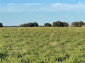 200 PR 16028 Road - Photo 8