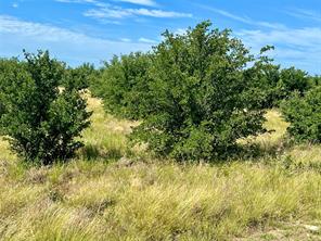 1180 Rawhide Ridge - Photo 6