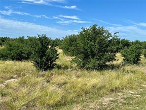 1180 Rawhide Ridge - Photo 7