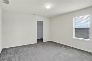 728 Snapdragon Lane - Photo 26
