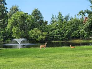 265 PR 2724 - Photo 36