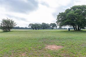 523 S Hays Road - Photo 9