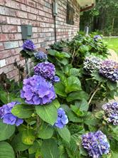 605 County road 2310 - Photo 34