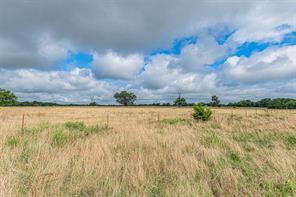 5538 County Road 3214 - Photo 32