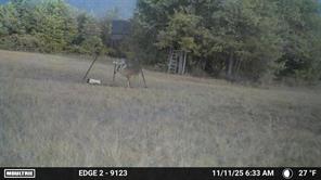 5538 County Road 3214 - Photo 37
