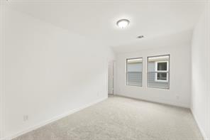 3638 Saffron Drive - Photo 22