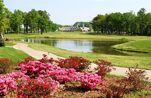 113 Azalea Trail - Photo 11