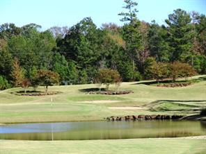 113 Azalea Trail - Photo 19