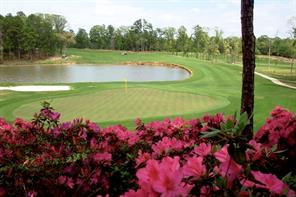 113 Azalea Trail - Photo 21