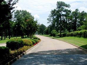 113 Azalea Trail - Photo 9