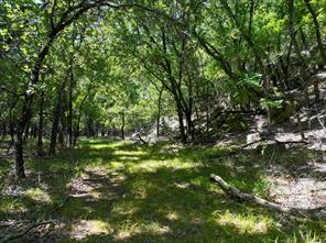 18156 Hwy 281 N - Photo 11