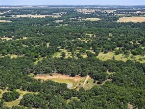 18156 Hwy 281 N - Photo 13