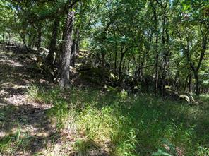 18156 Hwy 281 N - Photo 14