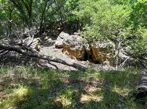 18156 Hwy 281 N - Photo 15