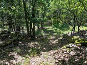18156 Hwy 281 N - Photo 16
