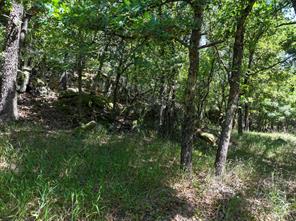 18156 Hwy 281 N - Photo 17