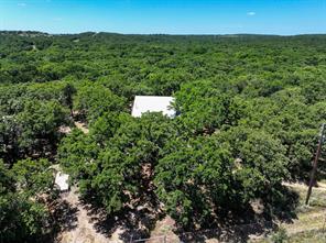 18156 Hwy 281 N - Photo 18