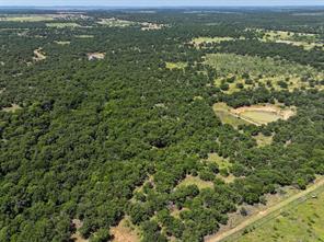 18156 Hwy 281 N - Photo 3