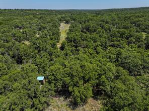 18156 Hwy 281 N - Photo 5
