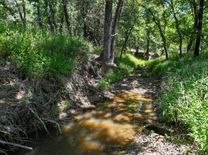 18156 Hwy 281 N - Photo 7